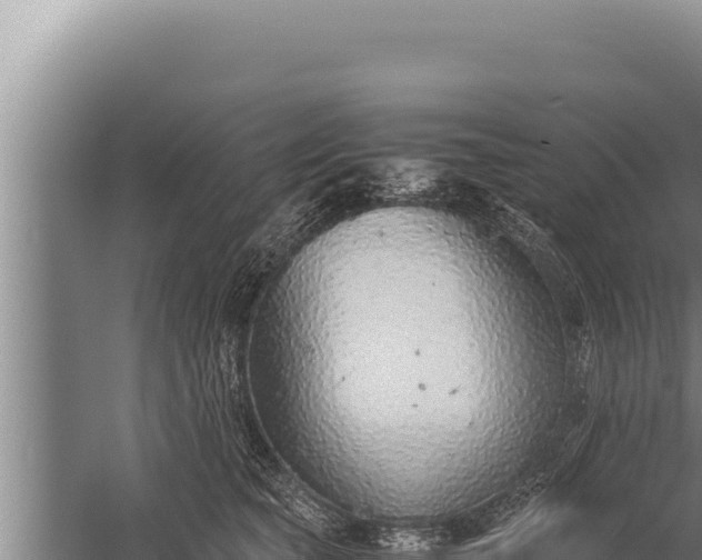 X0000059800565200510281642