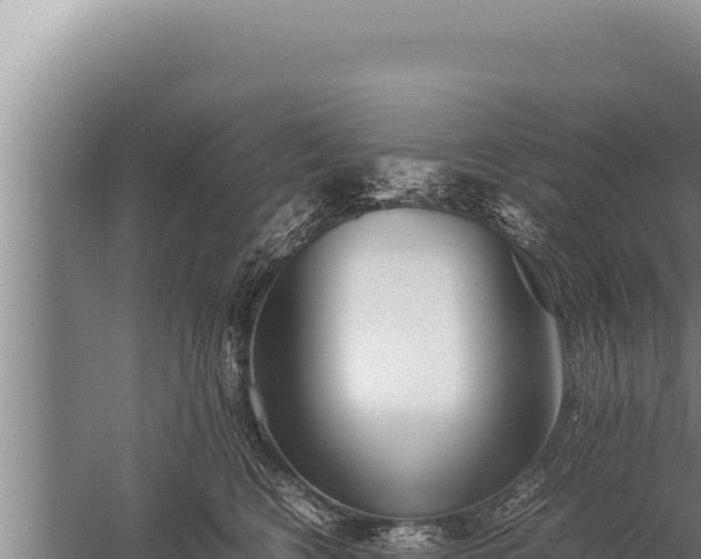 X0000059800566200510281642