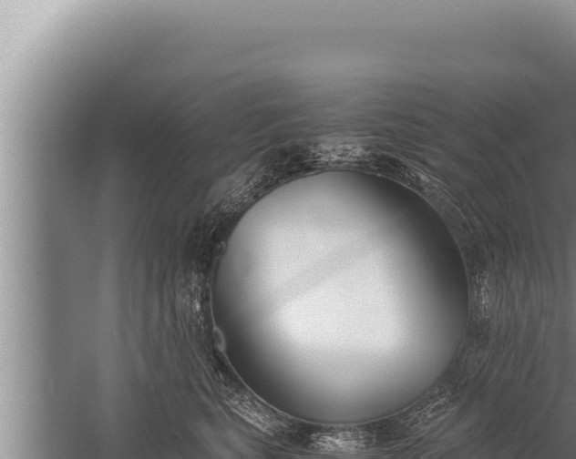 X0000059800567200510281642