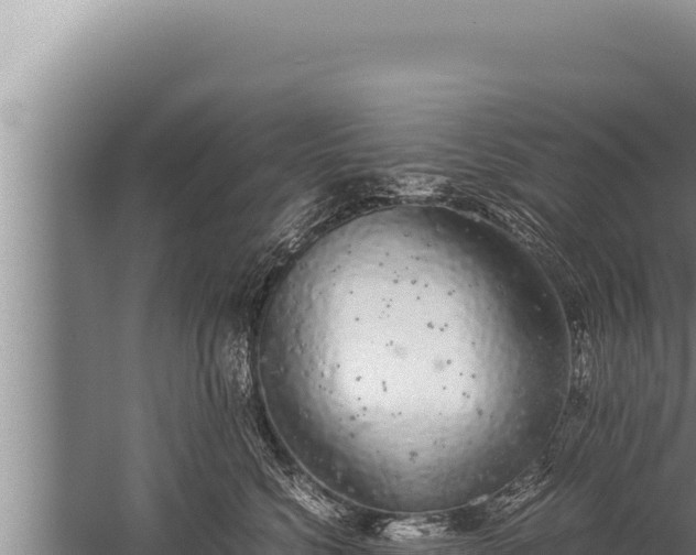 X0000059800568200510281642