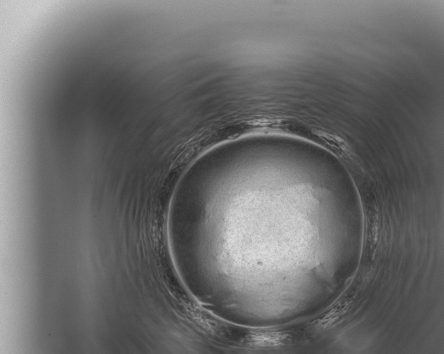 X0000059800569200510281642