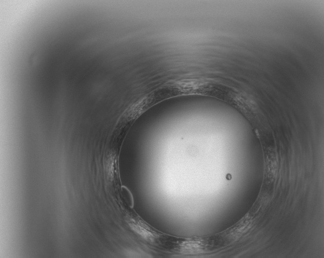 X0000059800574200510281642