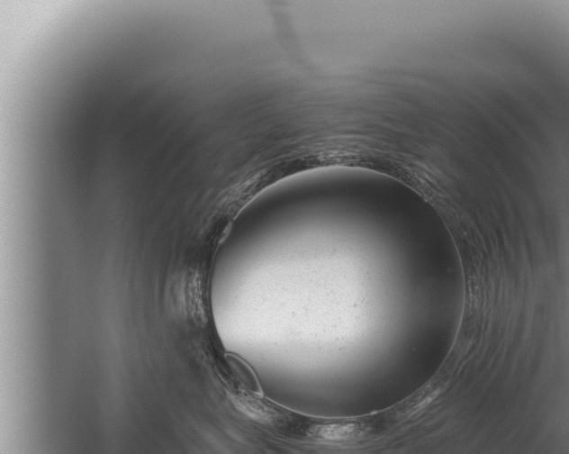 X0000059800575200510281642