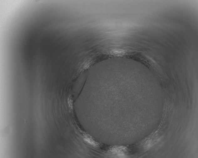 X0000059800576200510281642