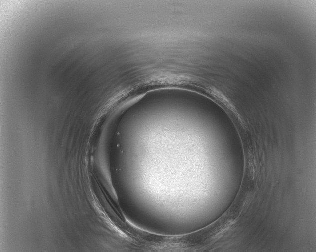 X0000059800581200510281641