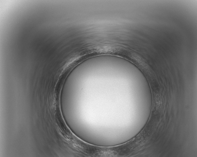 X0000059800583200510281641