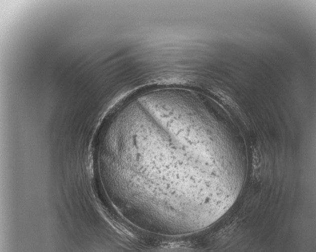 X0000059800584200510281641