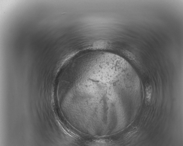 X0000059800588200510281641