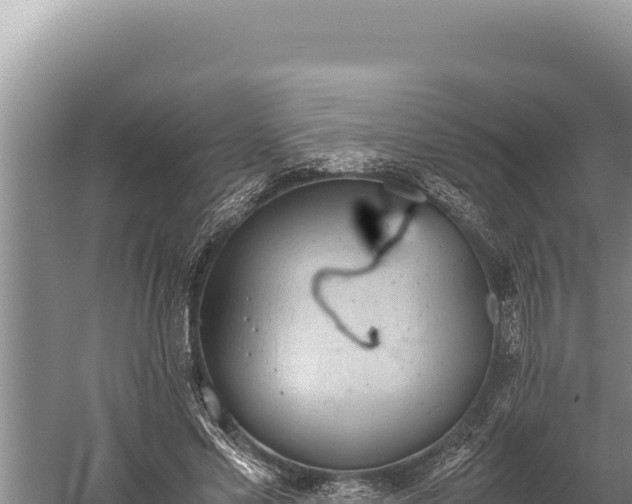 X0000059800589200510281641