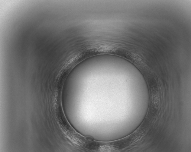 X0000059800591200510281641