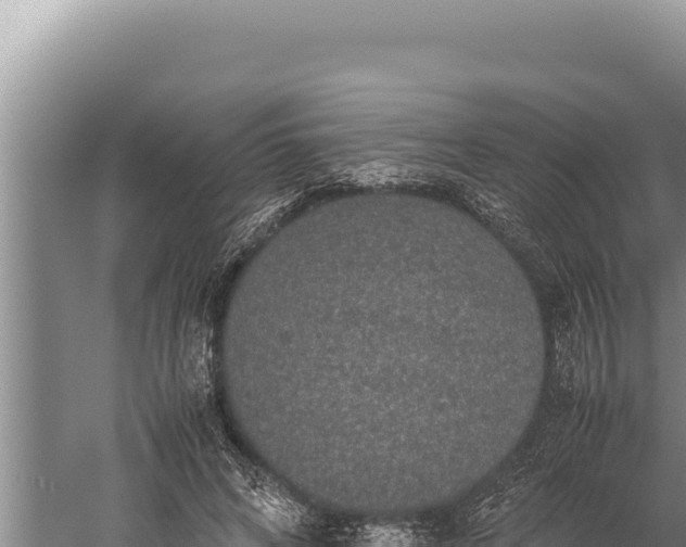 X0000059800592200510281641