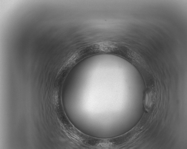 X0000059800595200510281641