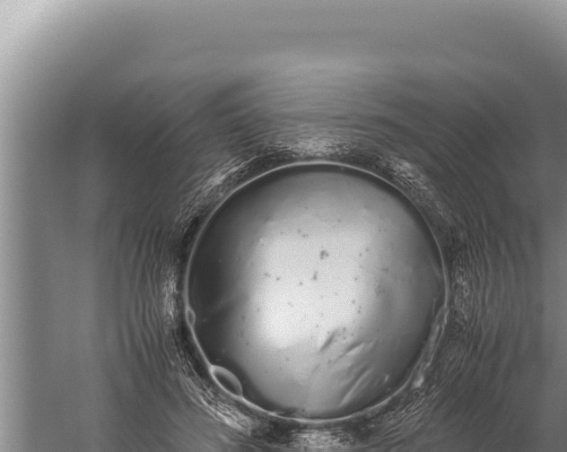 X0000059800596200510281641