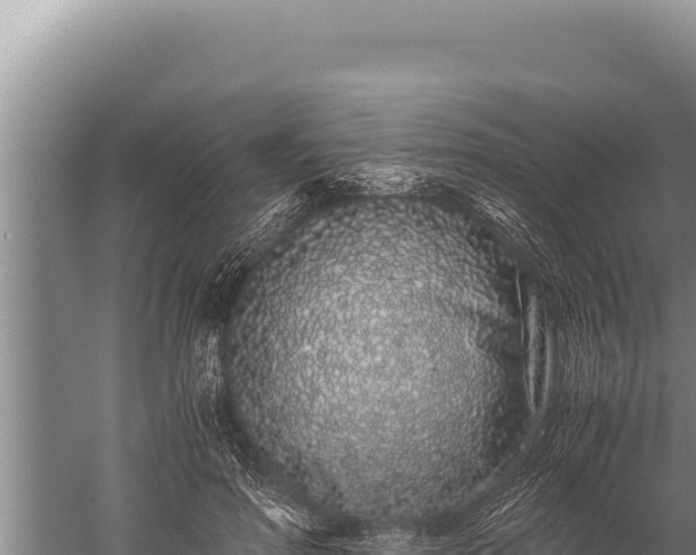 X0000059800598200510281641