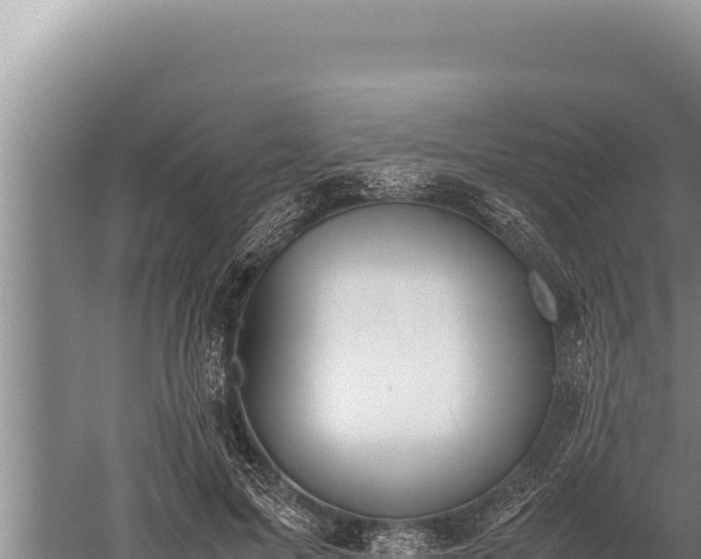 X0000059800599200510281641