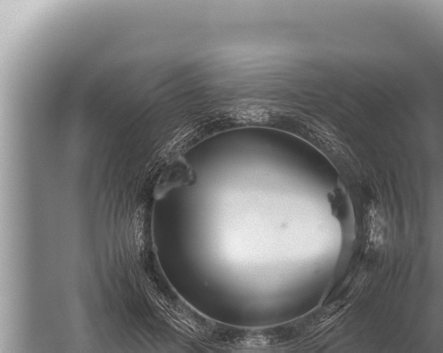 X0000059800600200510281641