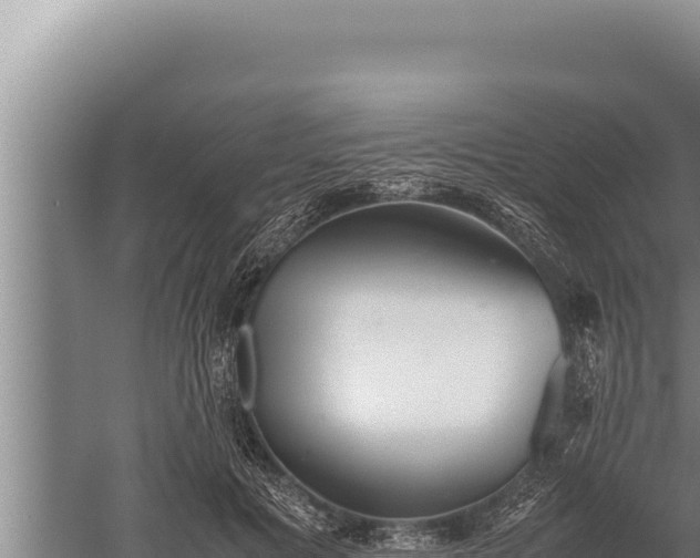 X0000059800601200510281641