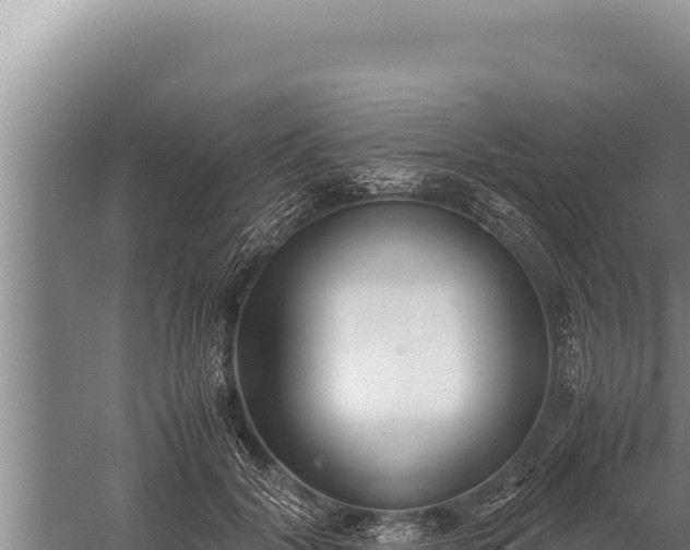 X0000059800604200510281641