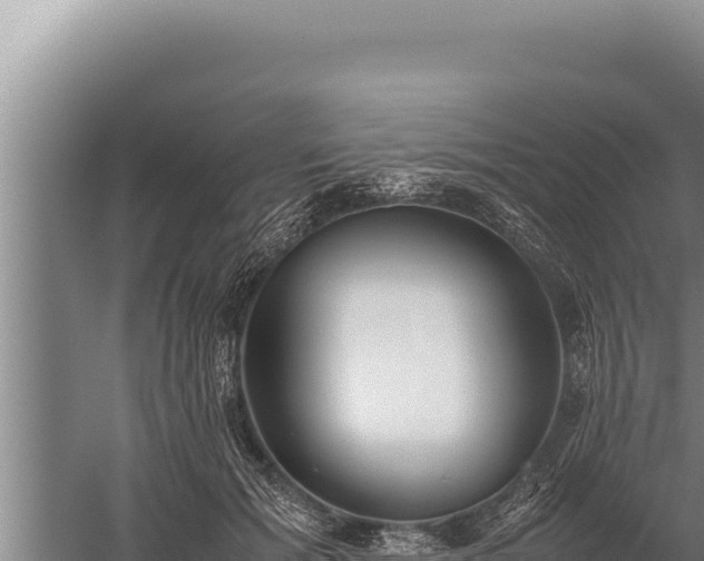 X0000059800605200510281641