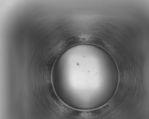 X0000059800606200510281641