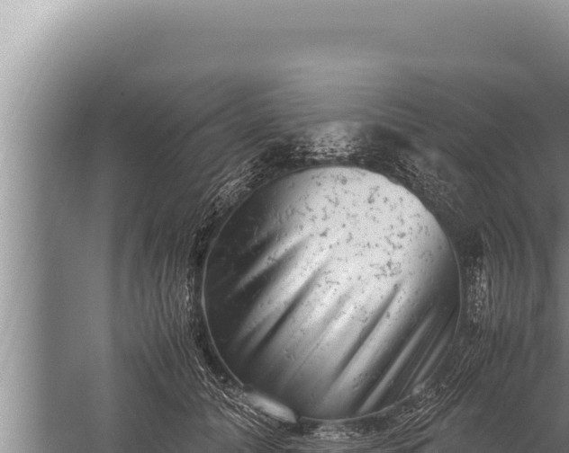 X0000059800608200510281641