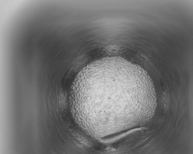 X0000059800610200510281641