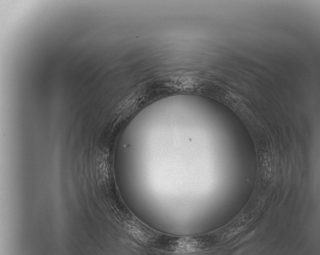 X0000059800612200510281641