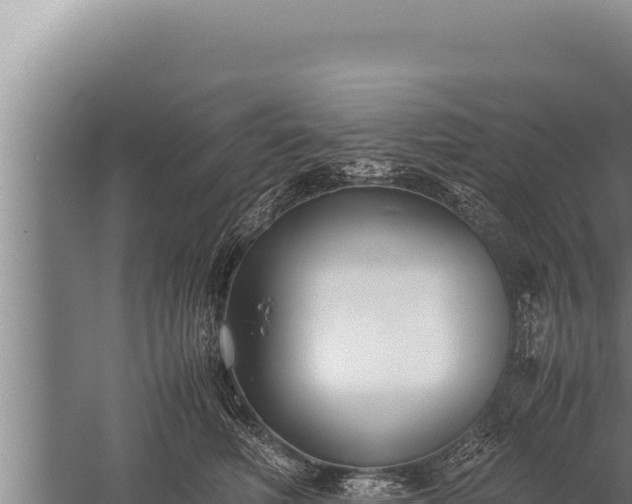 X0000059800614200510281641