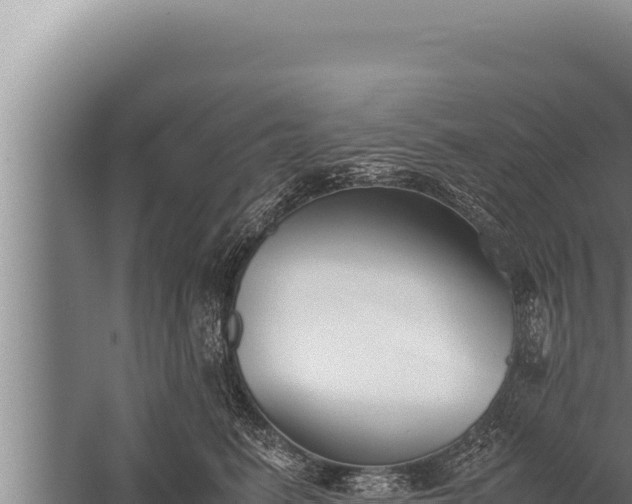 X0000059800615200510281641