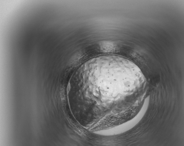 X0000059800620200510281640