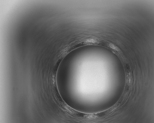 X0000059800621200510281640