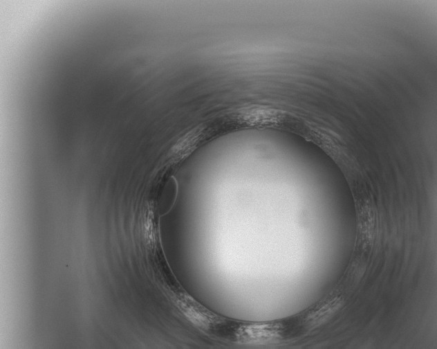 X0000059800622200510281640