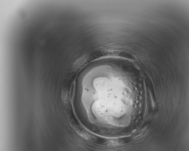 X0000059800623200510281640