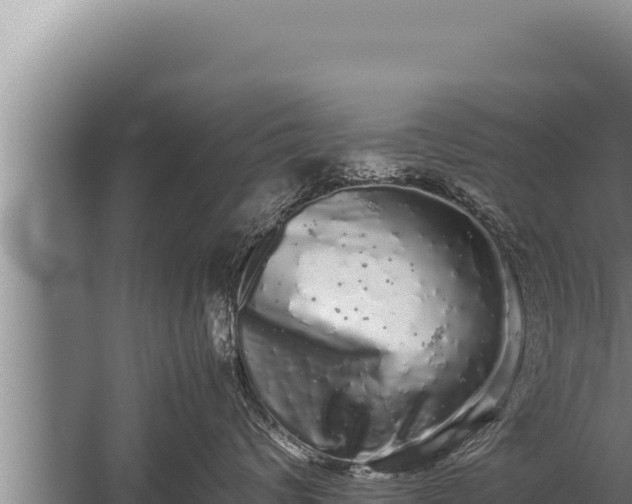 X0000059800624200510281640