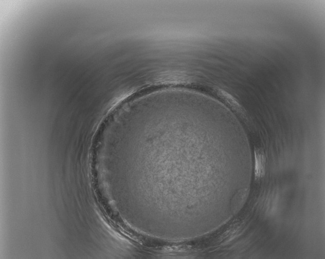 X0000059800627200510281640