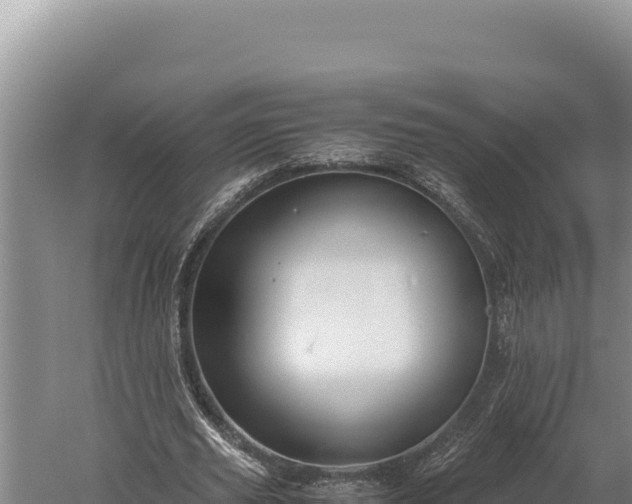 X0000059800629200510281640