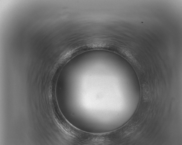 X0000059800631200510281640