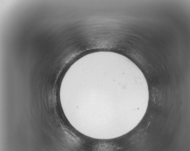 X0000059800632200510281640