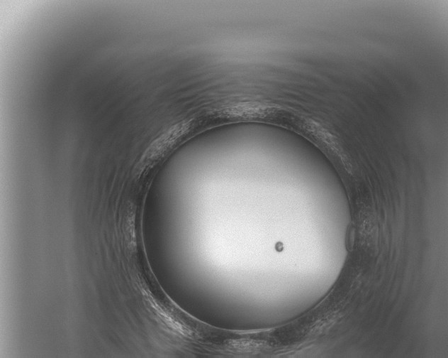 X0000059800633200510281640