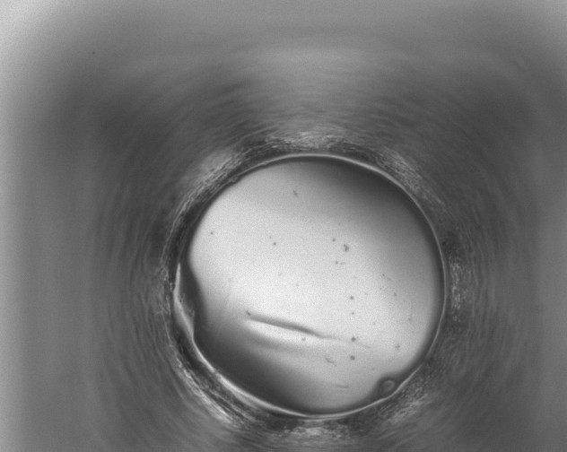 X0000059800634200510281640