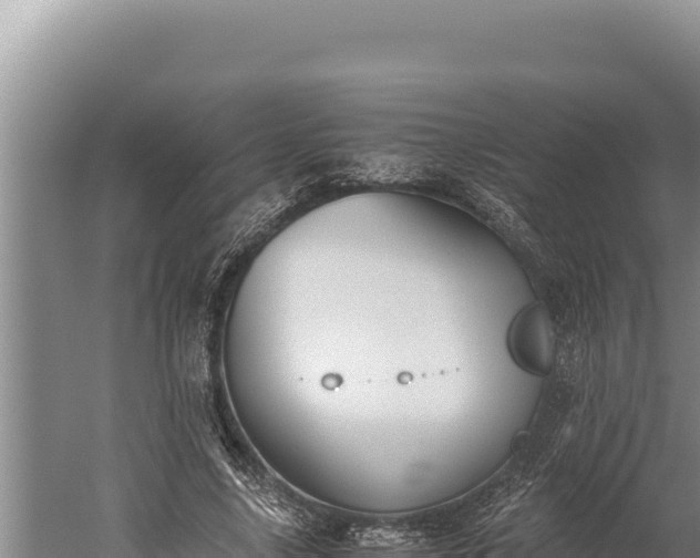 X0000059800635200510281640