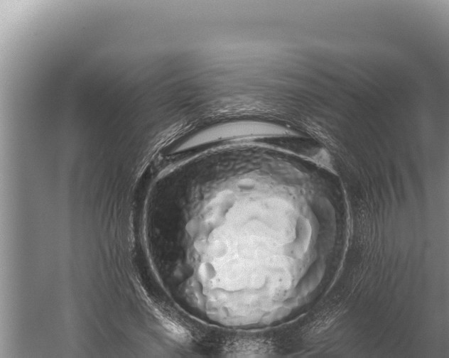 X0000059800638200510281640