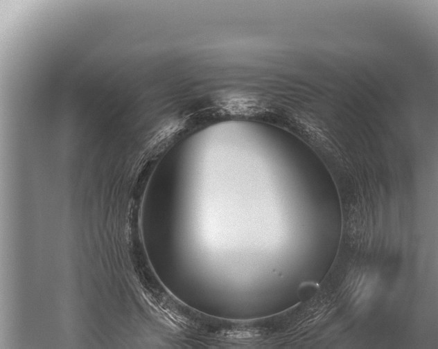 X0000059800639200510281640