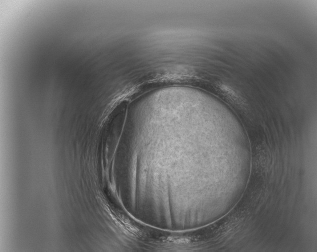 X0000059800640200510281640