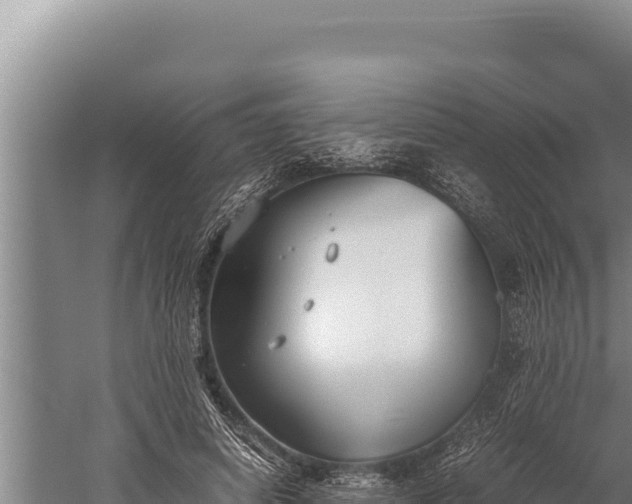 X0000059800642200510281640