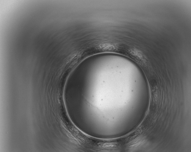 X0000059800643200510281640