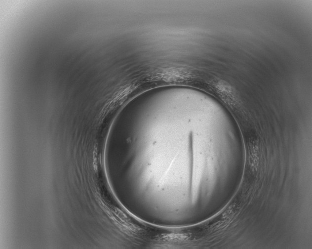 X0000059800644200510281640