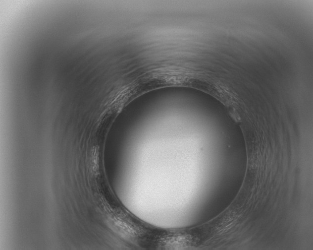 X0000059800646200510281640