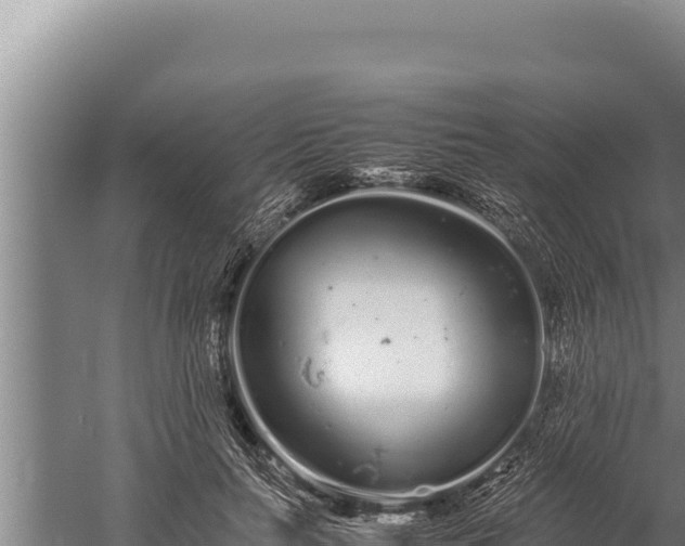 X0000059800647200510281640