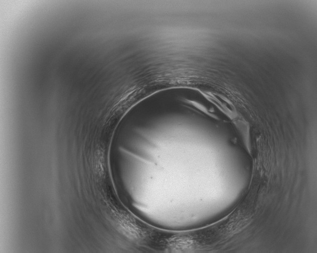 X0000059800648200510281640